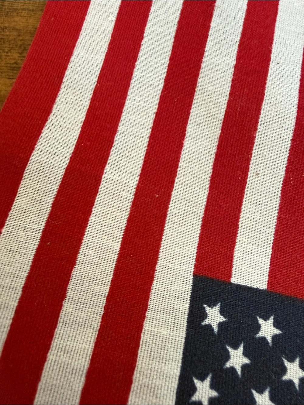American Flag Handheld Party Flag - Red, White & Blue